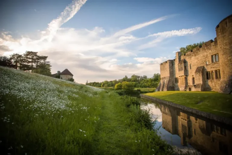 bde69f33 531e 402f baa6 01c68602684f 768x512