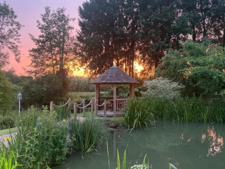 be8d785b e9ce 495f b107 7fabe859bff3 768x576