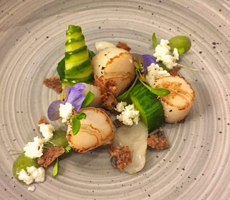 bf459a0d 6303 4fd2 858b cade1fb1060d 768x669