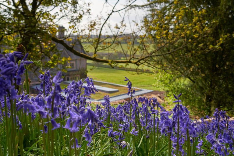 bluebellsandgardenroom 768x512