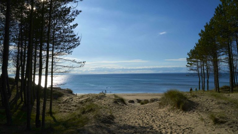 boath home september 5 13112023120913 768x432