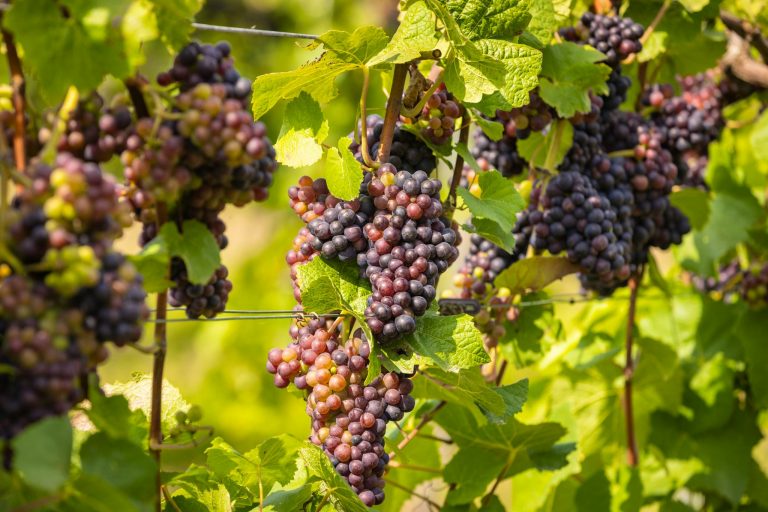 bolney new development 35 14122023101849 768x512