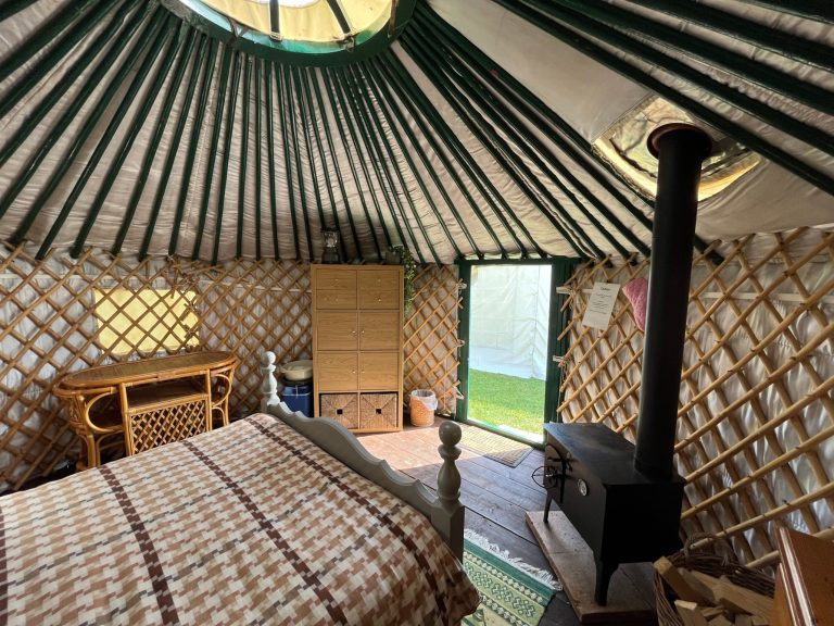 c0633008 c2e3 46ae 82a7 cba426b1b7d1 768x576