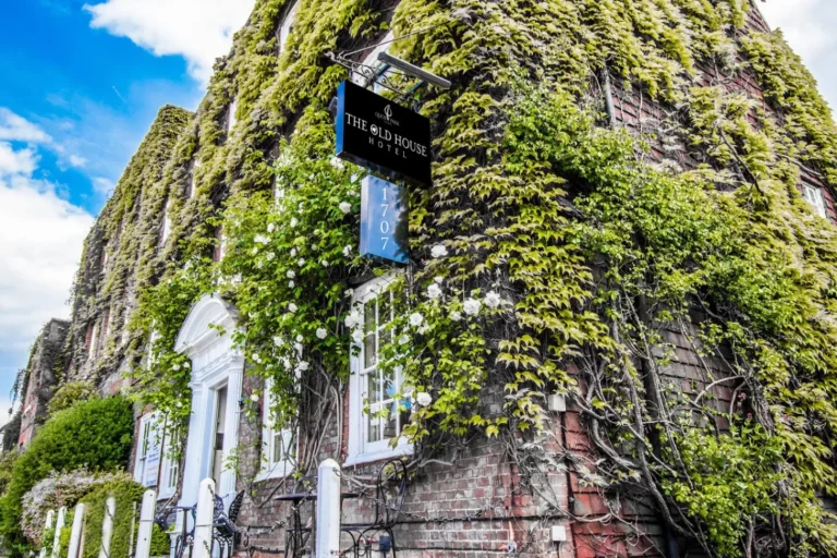 c06cdcd7 db45 44cc a14c db6c7c3bb2c6 1 768x512