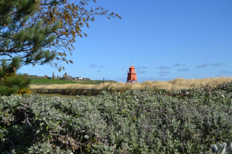 c0a65e38 d713 40a5 b473 3c992556caf9 768x511