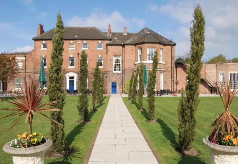 c0e356e6 334c 4275 997a 5e0c47edcdb6 768x528