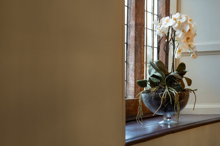 c173891e eb67 4615 bba2 96141645c0d3 768x512