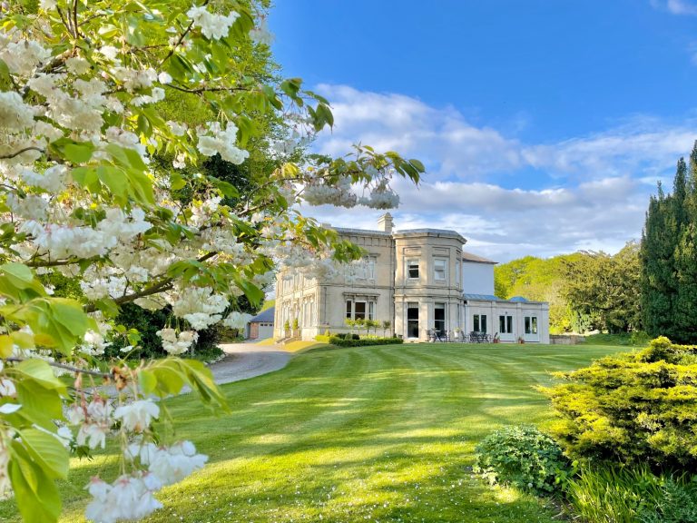 c2e433db 0d00 4a0f 9498 240c975e65d2 768x576