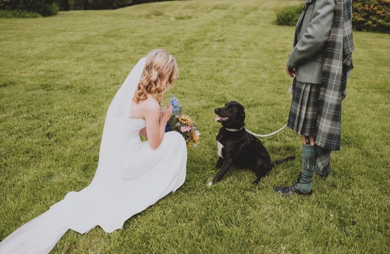 c2ee73bc 96d0 42a7 987f f3420f087b7d 768x501