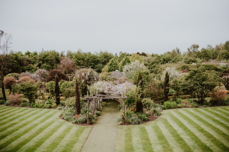 c3613b54 163e 4ad8 b26a 2081594745f5 768x512