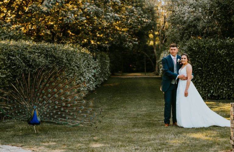 c37640b6 fbbe 4108 a8f3 5c556a92ce24 768x498