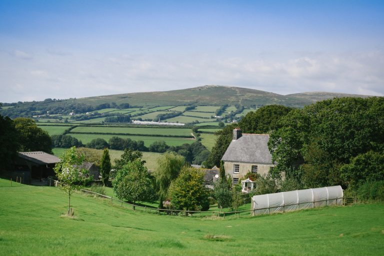 c3f6f878 ad31 42e5 85f1 00e0dea82d2b 768x512