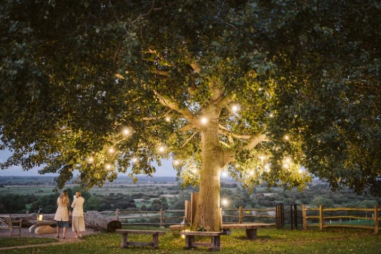 c49961b7 c030 4389 80e3 529c7f29d9a1 768x511