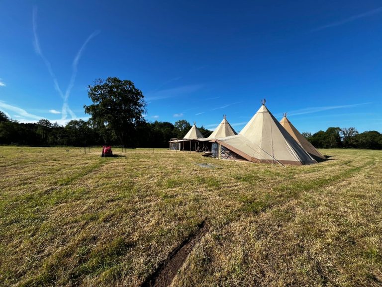 c4db3cde 66f4 4971 bfe4 91175d9d09b4 SOPHtoremovelawnmower 768x576