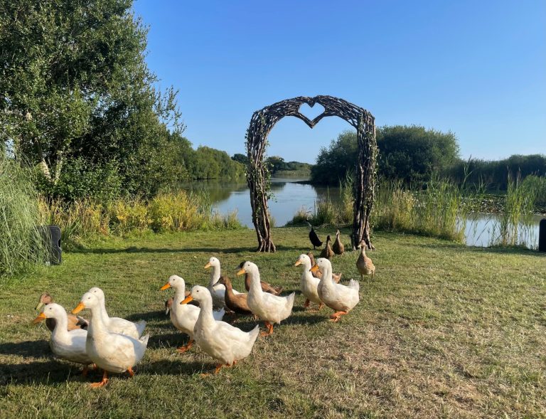 c5057292 31c4 48c7 b13e 804950f5ba71 768x589