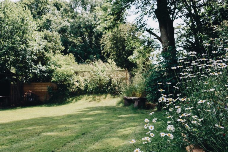 c54c999d 558e 4b92 934f aaeff5733b30 768x512