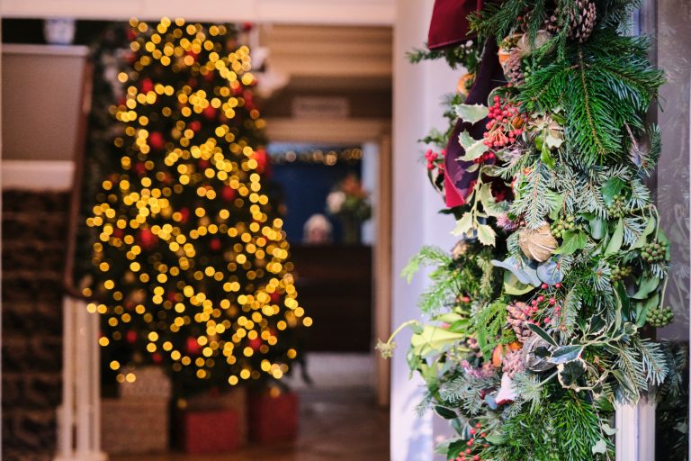 c555675a cc4a 42a7 ac98 83a28ac6fa29 768x512