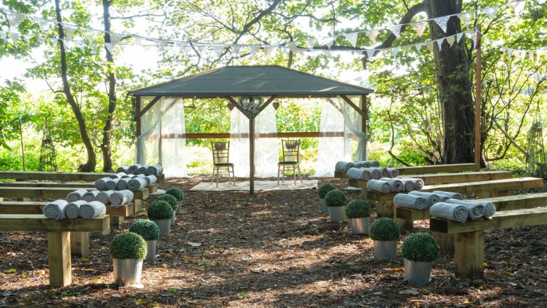 c58a6d09 b759 4844 9412 b3cedb3785c4 768x432