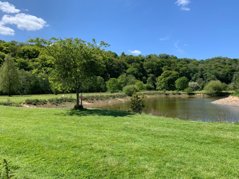 c6e12c43 6b8a 415b 8c5e 4a3c4485f191 768x576