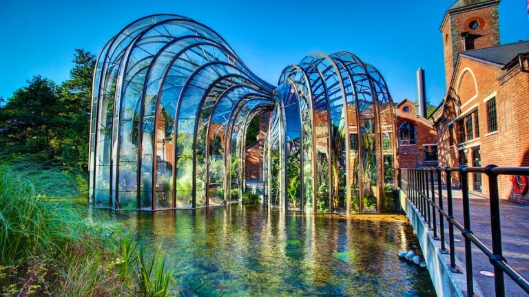 c907cf7c 45d5 45c9 9948 d57aa2127b8e 15112022022909 768x432