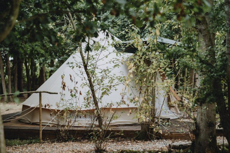 c9985756 80ac 4e9b b098 b518868364da 768x512