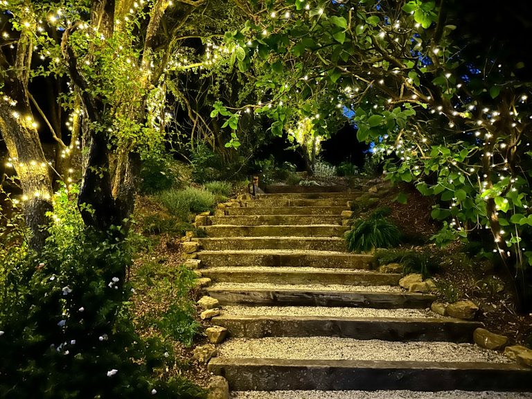 c99abade e9b4 4409 b37e 60d1f6274768 768x576