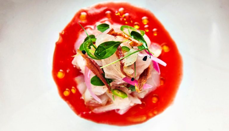 canto corvino 2018 cevicheweb 768x439