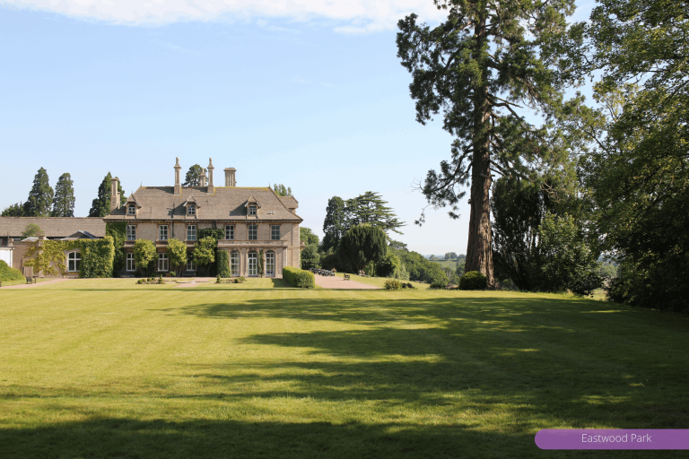 cb476e56 a3e5 40fd 82b8 a9f1d9b5445d 768x512