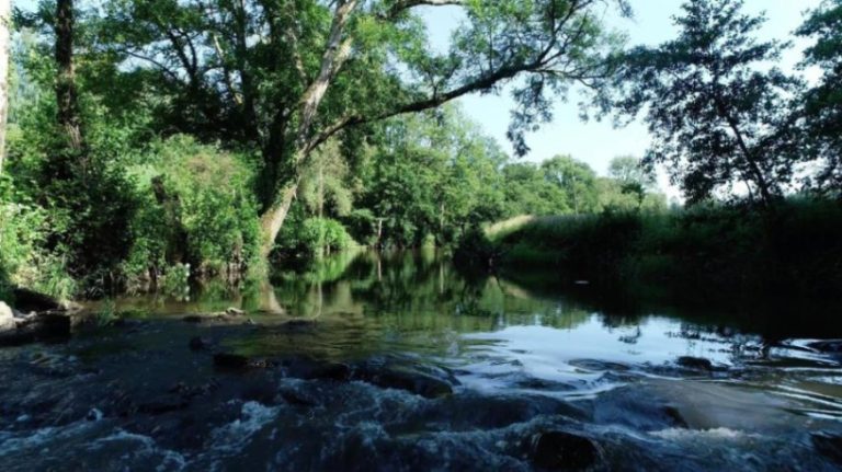 cb709c8c 5252 4616 8088 5c0b64803a71 768x431