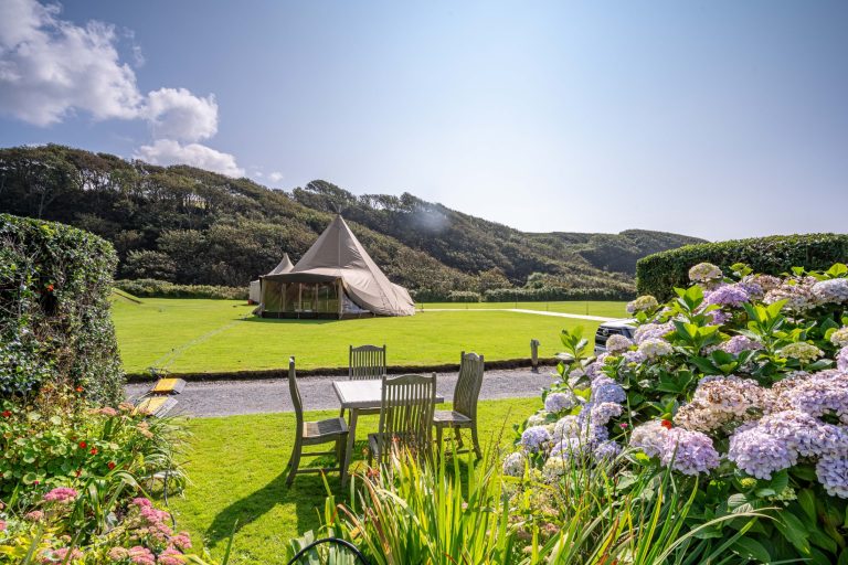 cc51c77d 5628 47eb a524 5463b2dd4443 768x512