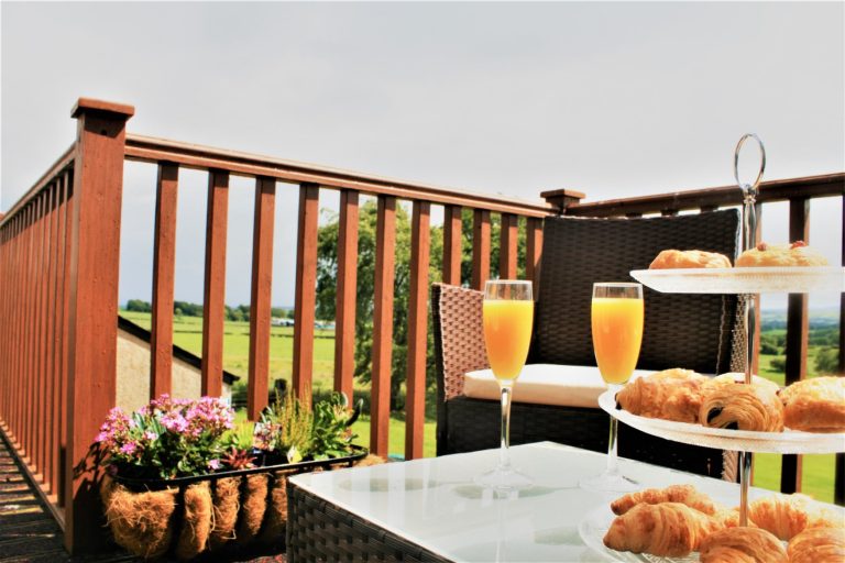 cc8462b3 5a8c 4ab5 869e 6f0479868f1f 768x512