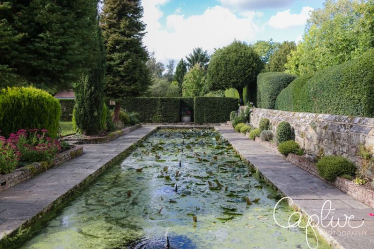 cd71f76d be90 47c7 9a32 31f5f367762c 768x512