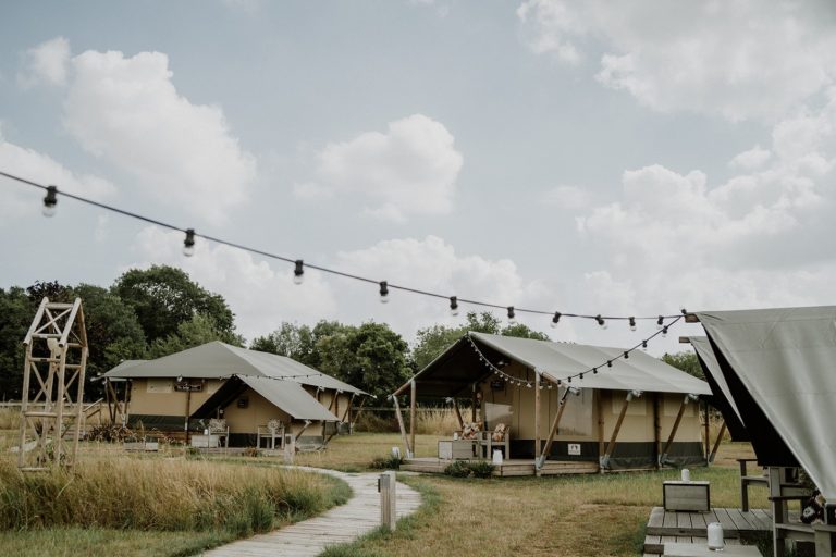 ce2384fd 3068 41e2 8b79 076bbd49e033 768x512