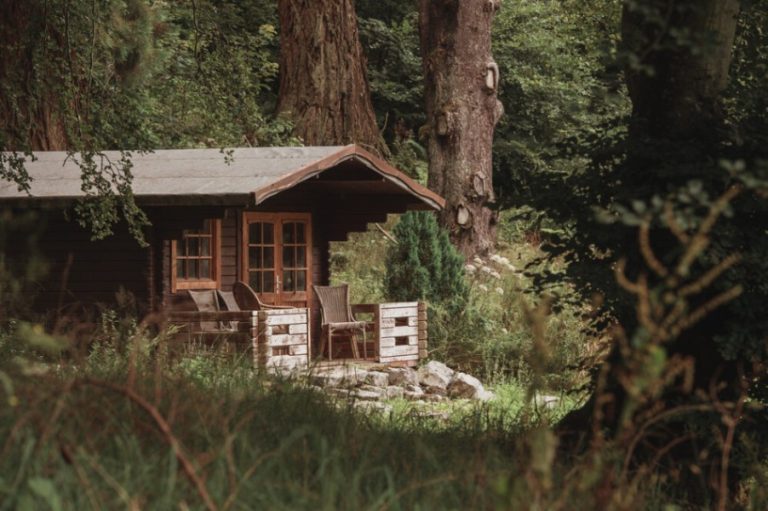 cf158785 b3ff 4e49 bdc7 cd3984e7afd1 768x511