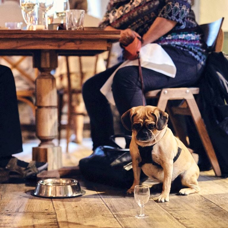 cf693bd3 5be1 478c 921a ac36ef173f4b 768x768