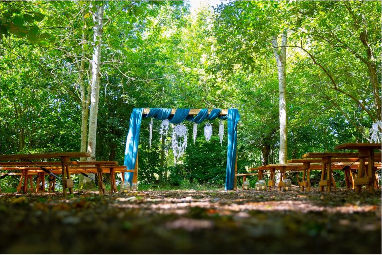 colourwoodland 768x514