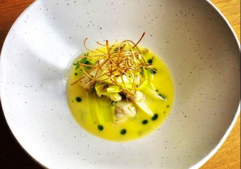 cora 3 11042022091839 768x538