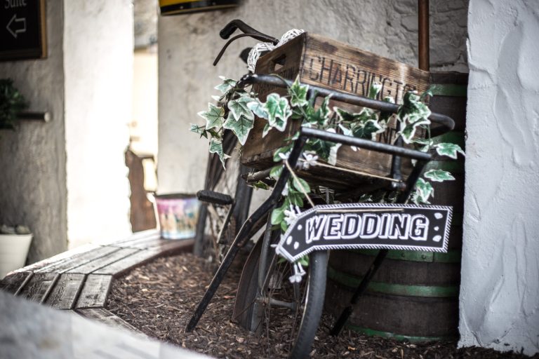 csm8zZ9M8R photoA8 768x512