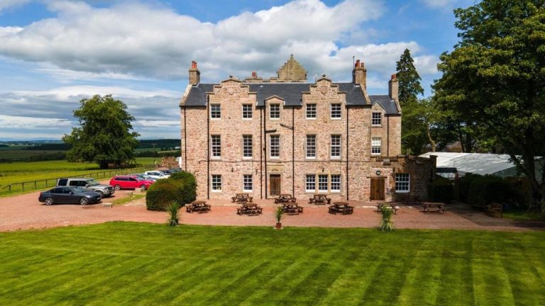 csqgnjNWNg photoA7 768x432