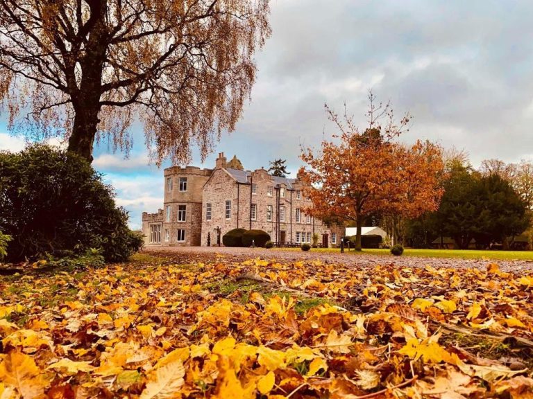 csqgnjNWNg photoA8 768x576