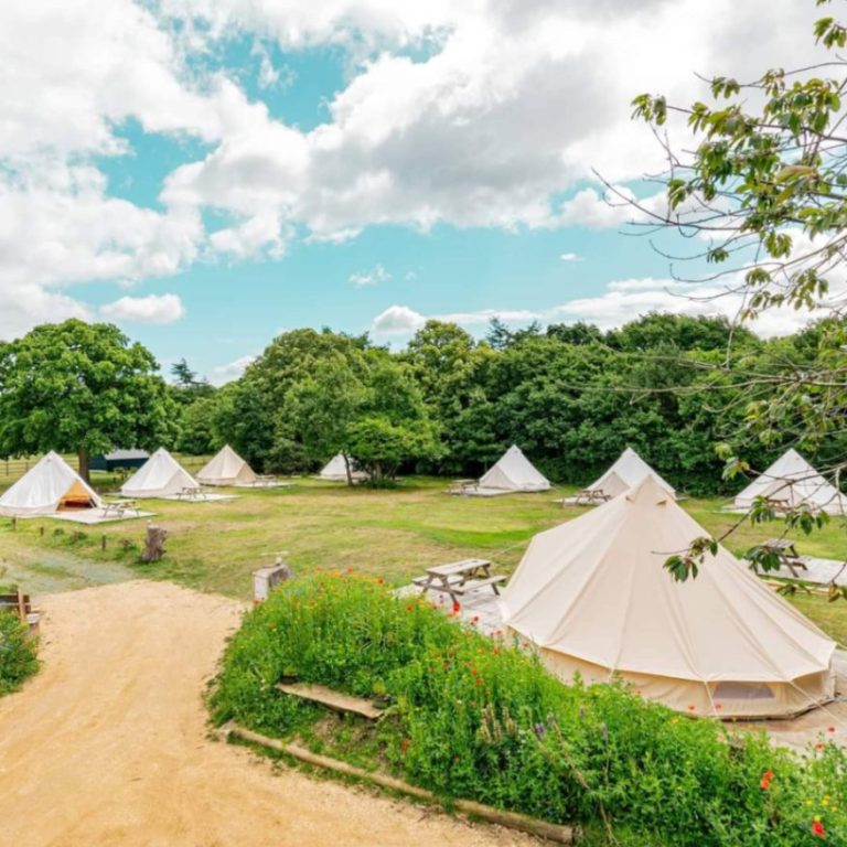 d1e42875 a8e3 4ad7 9aab f41024c22911 768x768