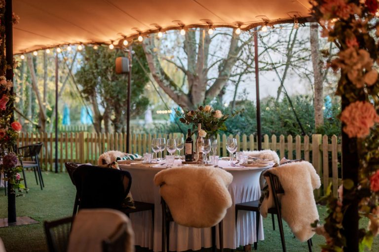 d442e884 2521 4619 9b84 ee9e40f659f1 768x511