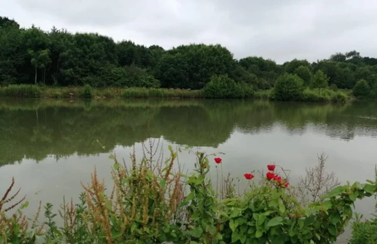 d464ab51 9f13 4c57 8ada a0525109903c 768x497