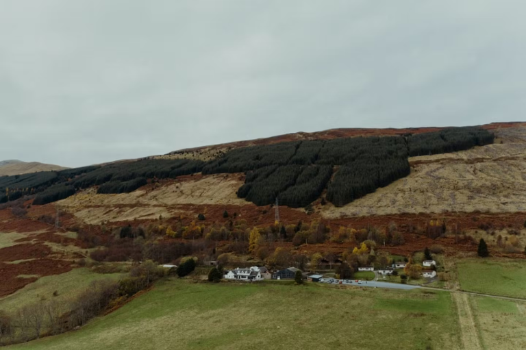 d4d07f45 5ff6 481e bb3e ca631f842759 768x511