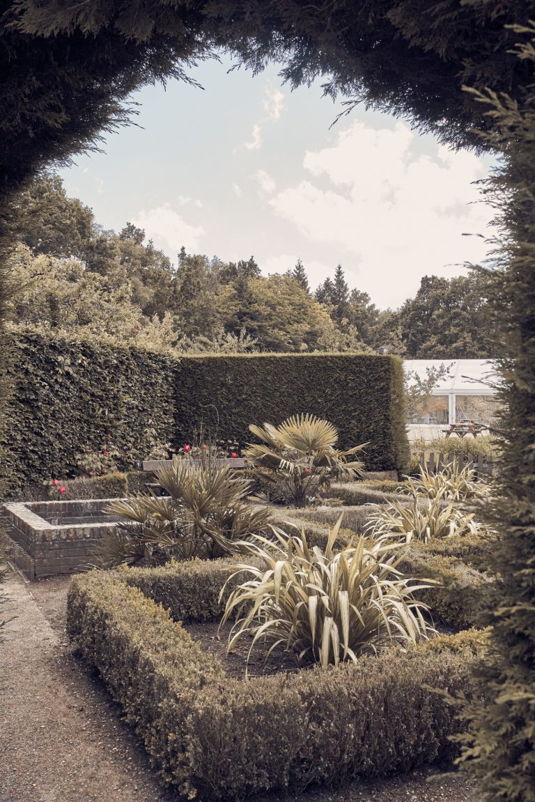 d6a85bbc 8fb9 4e40 8a24 60eba0de874f 768x1152