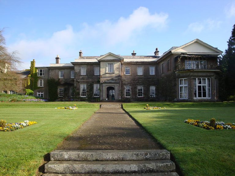 d6dr6o1n29a7ye1vtaay 768x576