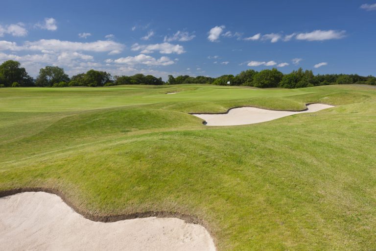 d7rveun6291zsxoosmvd 768x512