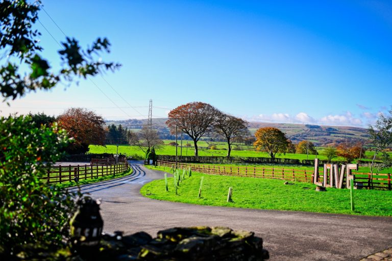 d80cf45b 7244 4f6d 83c6 a46a272de0aa 768x512