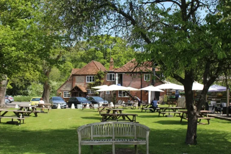 d840d9b8 d358 47e5 bbac 2299a6e71ab2 768x511