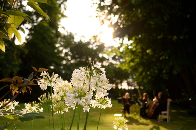 d94ce5ea ddf2 4cd3 bec5 11a37fbc3479 768x512